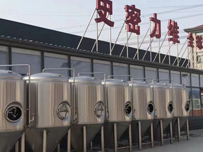 连平精酿啤酒设备厂—如何判断精酿啤酒设备的密封件需要更换？